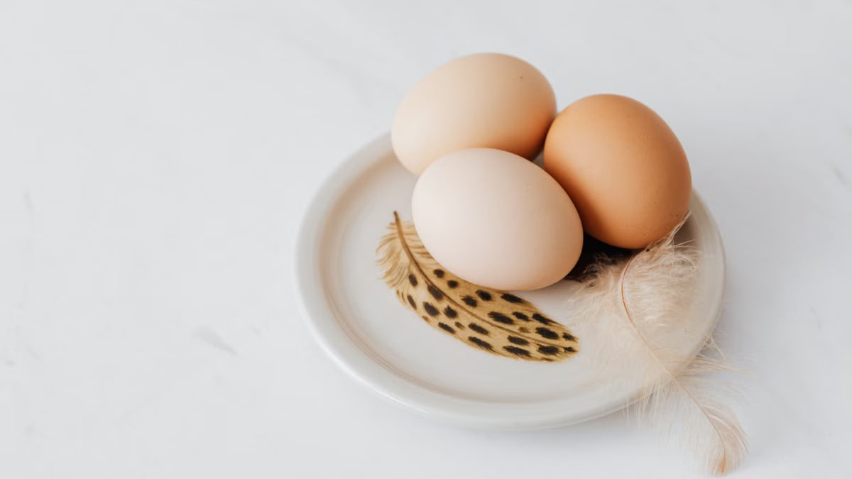 Three fresh eggs on a decorative plate with feathers on a white background.